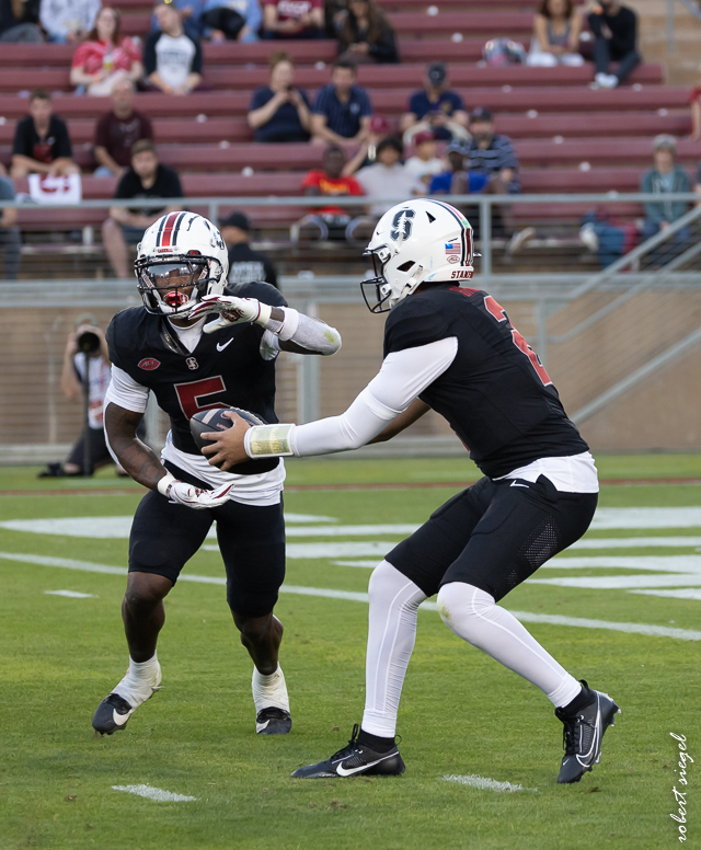 stanford football 2024